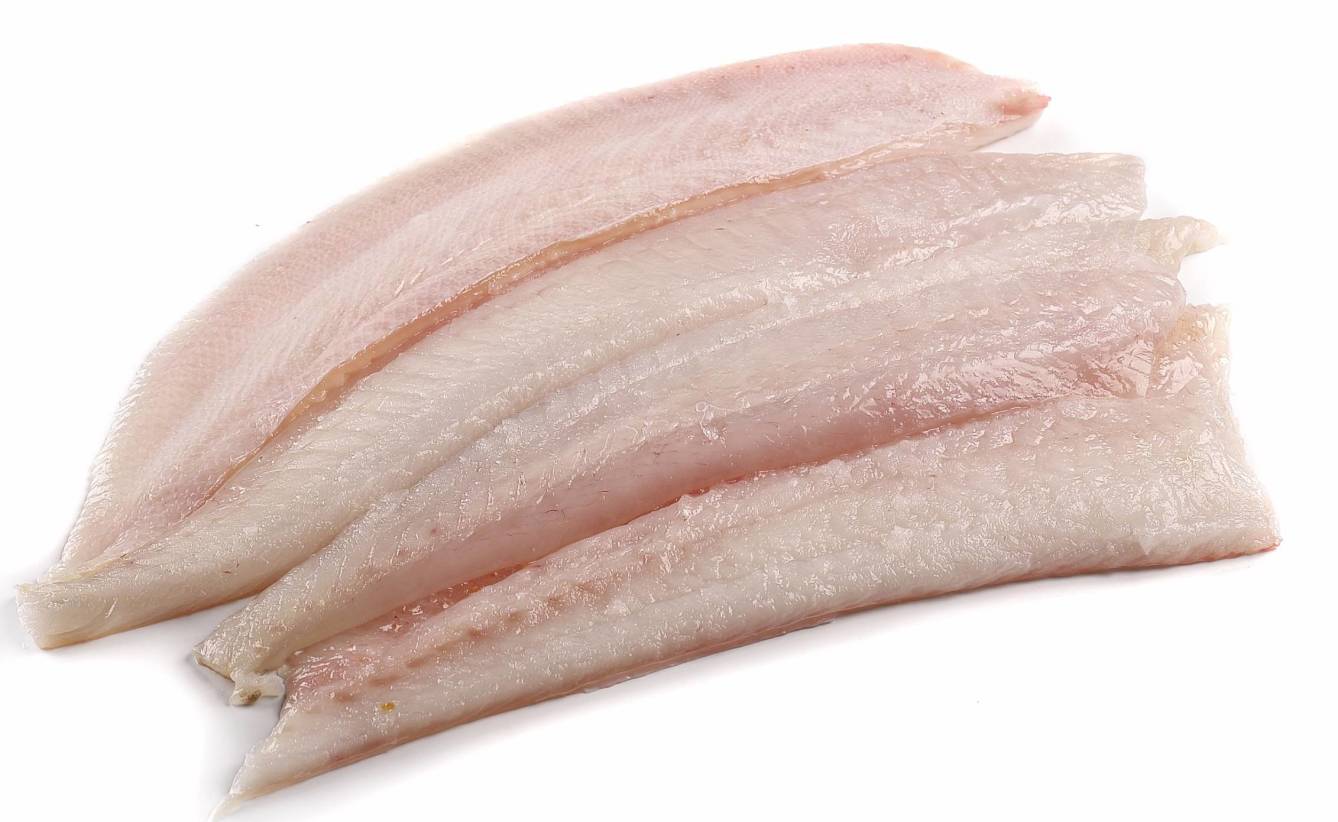 Bluefish Fillets (24 Hours Notice Please)